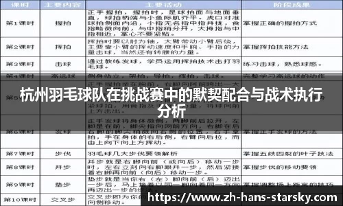 杭州羽毛球队在挑战赛中的默契配合与战术执行分析